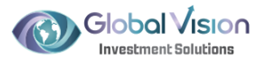 Global VISION Investment Solutions